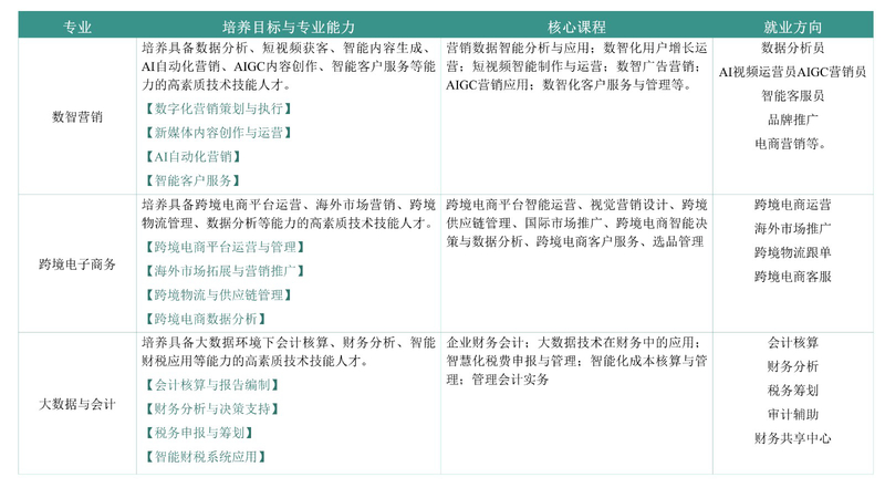 数智营销-跨境电子商务-大数据与会计_03.jpg